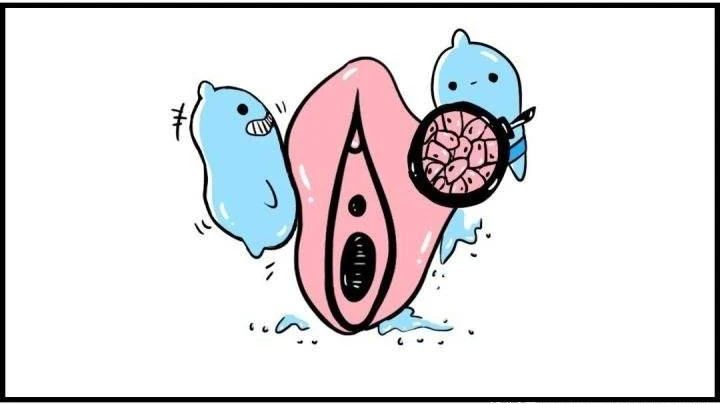 外阴白斑是什么?