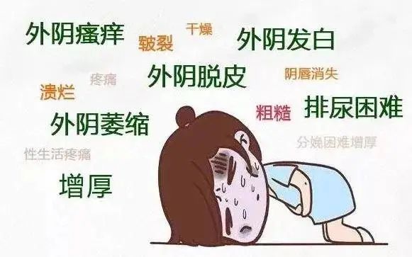 外阴白斑的类型你知道多少?