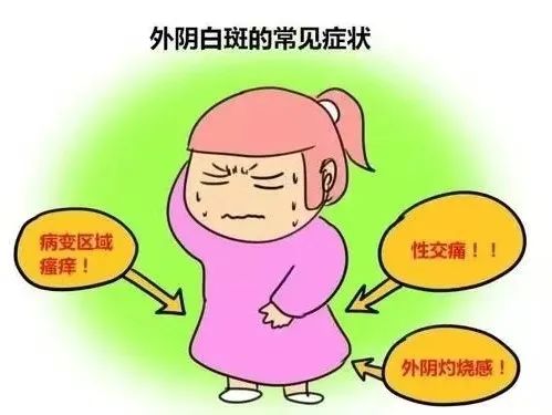外阴瘙痒的不行是因为外阴白斑吗?